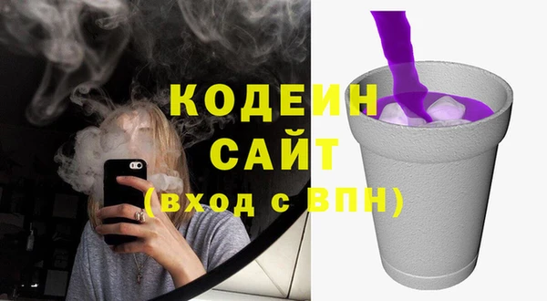 тгк Дмитриев