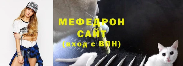 тгк Дмитриев