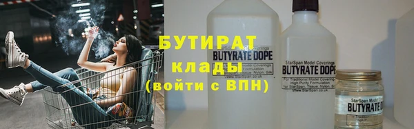 тгк Дмитриев