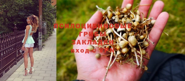 тгк Дмитриев