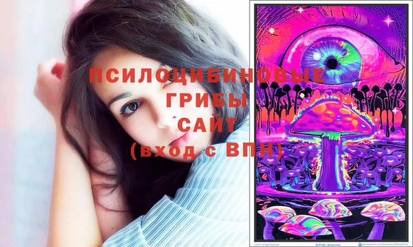 амфетамин Гусиноозёрск