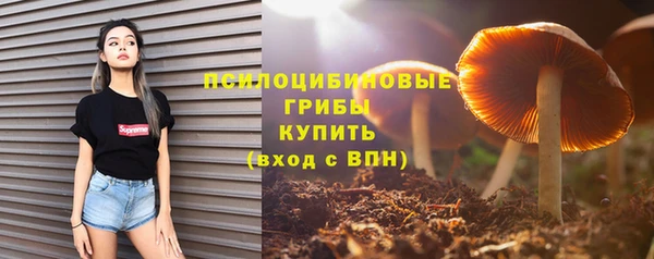 амфетамин Гусиноозёрск