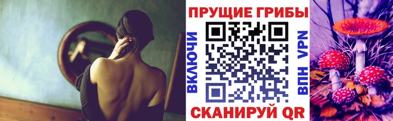 Псилоцибиновые грибы мухоморы  Майкоп 